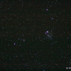Amas d’étoile E.T. (NGC 457) – © Philippe Vigneron